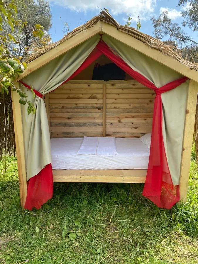 Bodrum Masali Camping Gumusluk Campsite